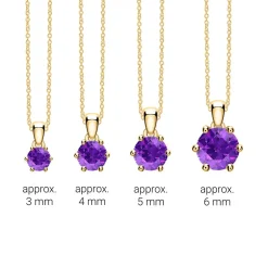 Amethyst Kettenanhänger aus 585er Gold BDP0034Am-14KGSL