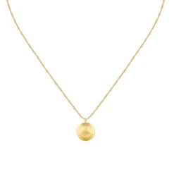 Damen Halskette Medallion aus vergoldetem Edelstahl 1580157