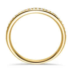 750er Gold Eternity Ring 25 Diamanten DR0348-18KG