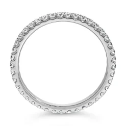 Eternity Ring mit Diamanten aus Weißgold oder Platin BDR0131-WSL