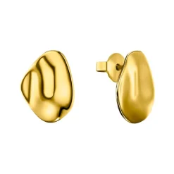 Ohrstecker für Damen aus vergoldetem Edelstahl 2033899