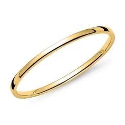 Ring aus 14-karätigem Gold ER0008-14KY