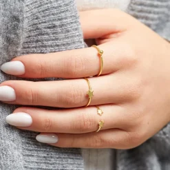 Sternring aus vergoldetem Sterlingsilber LSR0046