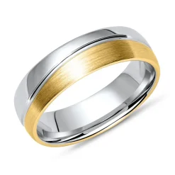 Vivo 925er Silberring zweifarbig R8556SL