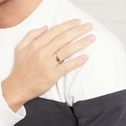 Vivo 925er Silberring zweifarbig R8556SL