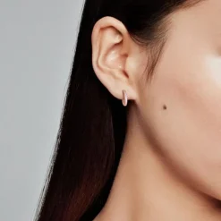 Zirkoniabesetzte Ohrringe für Damen, ROSE 286317C01